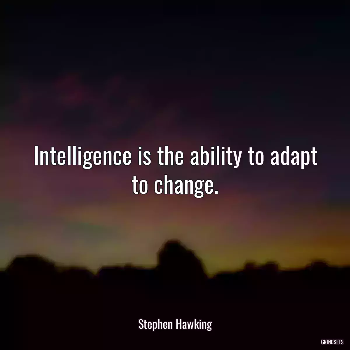 Intelligence is the ability to adapt to change.