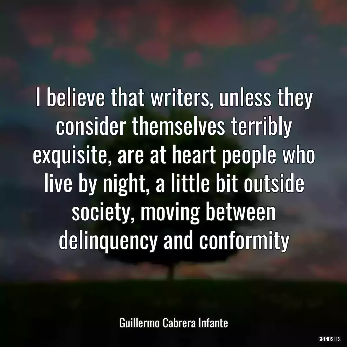 I believe that writers, unless they consider themselves terribly exquisite, are at heart people who live by night, a little bit outside society, moving between delinquency and conformity