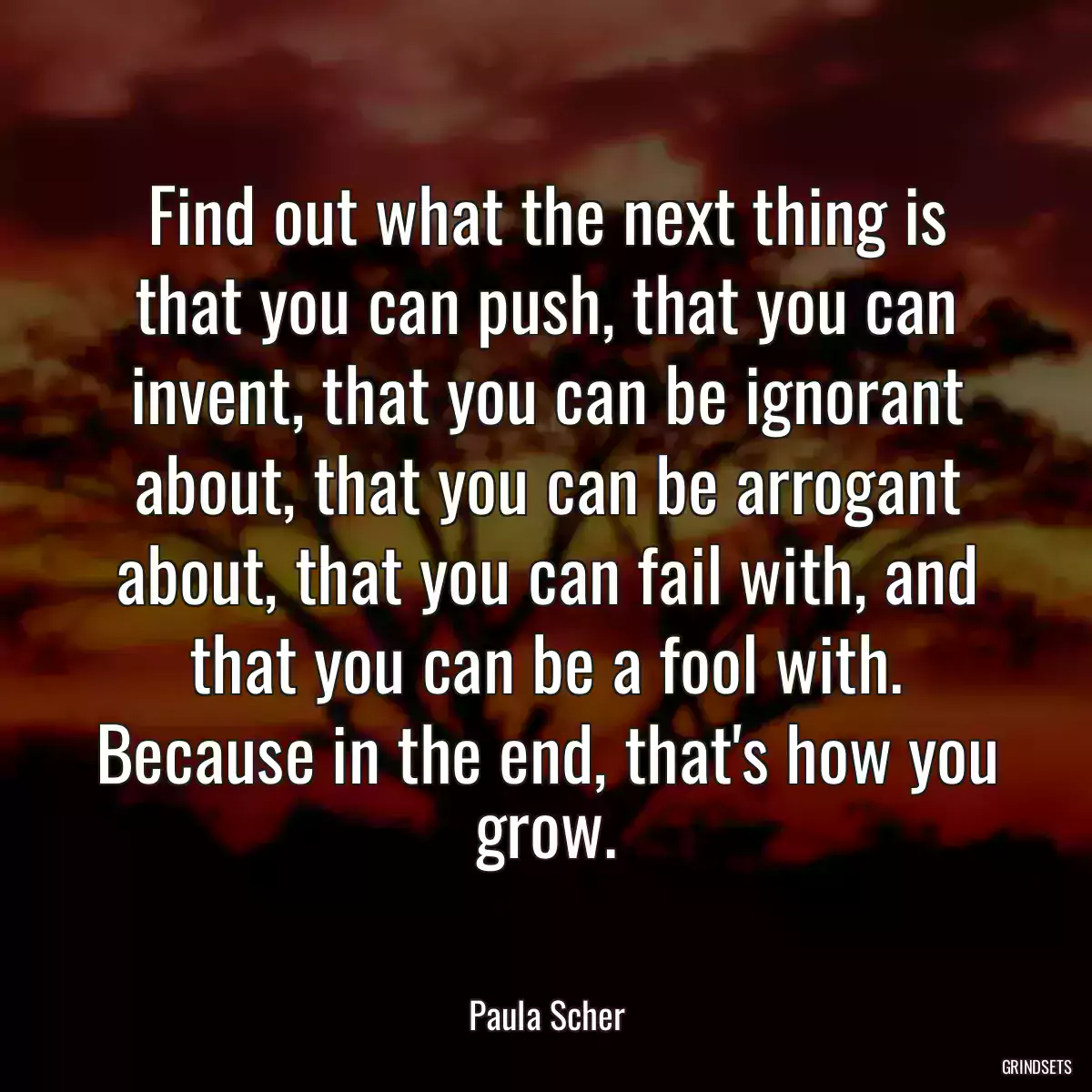 Find out what the next thing is that you can push, that you can invent, that you can be ignorant about, that you can be arrogant about, that you can fail with, and that you can be a fool with. Because in the end, that\'s how you grow.