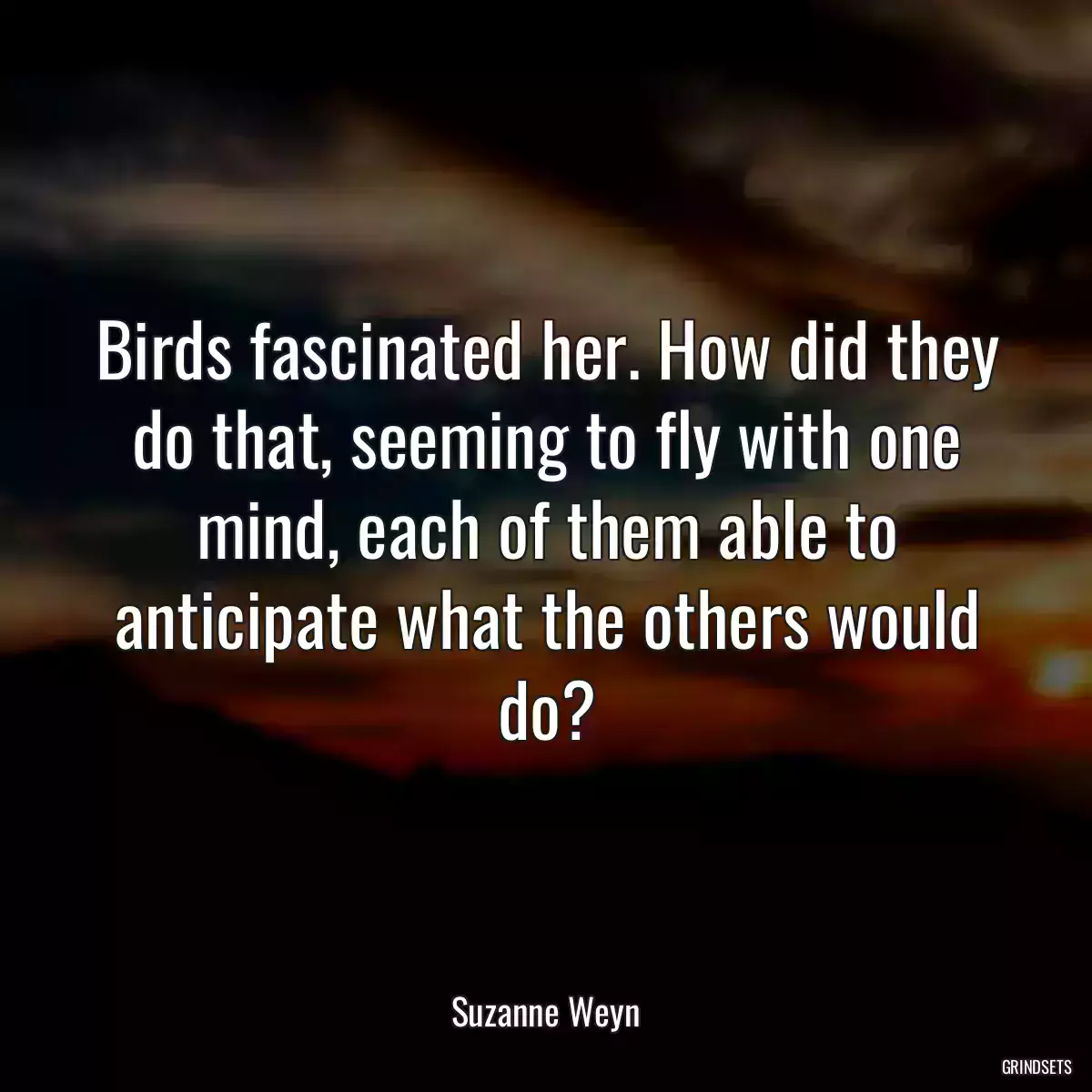 Birds fascinated her. How did they do that, seeming to fly with one mind, each of them able to anticipate what the others would do?