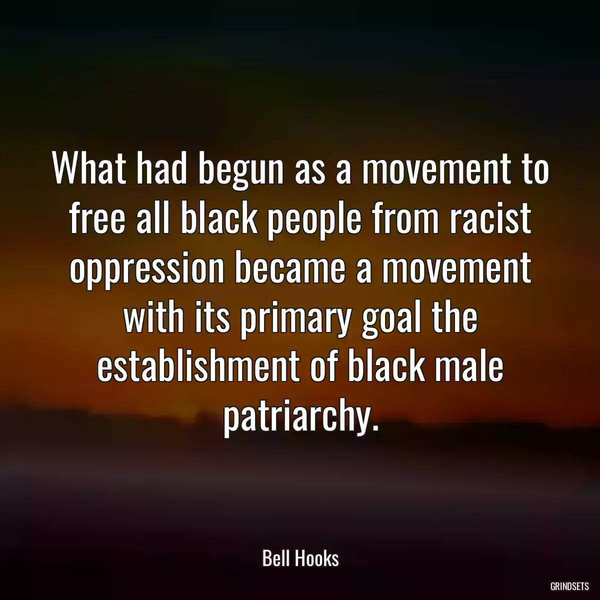 What had begun as a movement to free all black people from racist oppression became a movement with its primary goal the establishment of black male patriarchy.