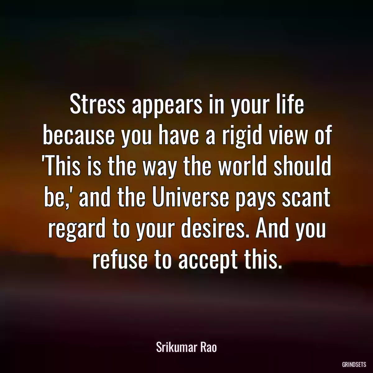 Stress appears in your life because you have a rigid view of \'This is the way the world should be,\' and the Universe pays scant regard to your desires. And you refuse to accept this.