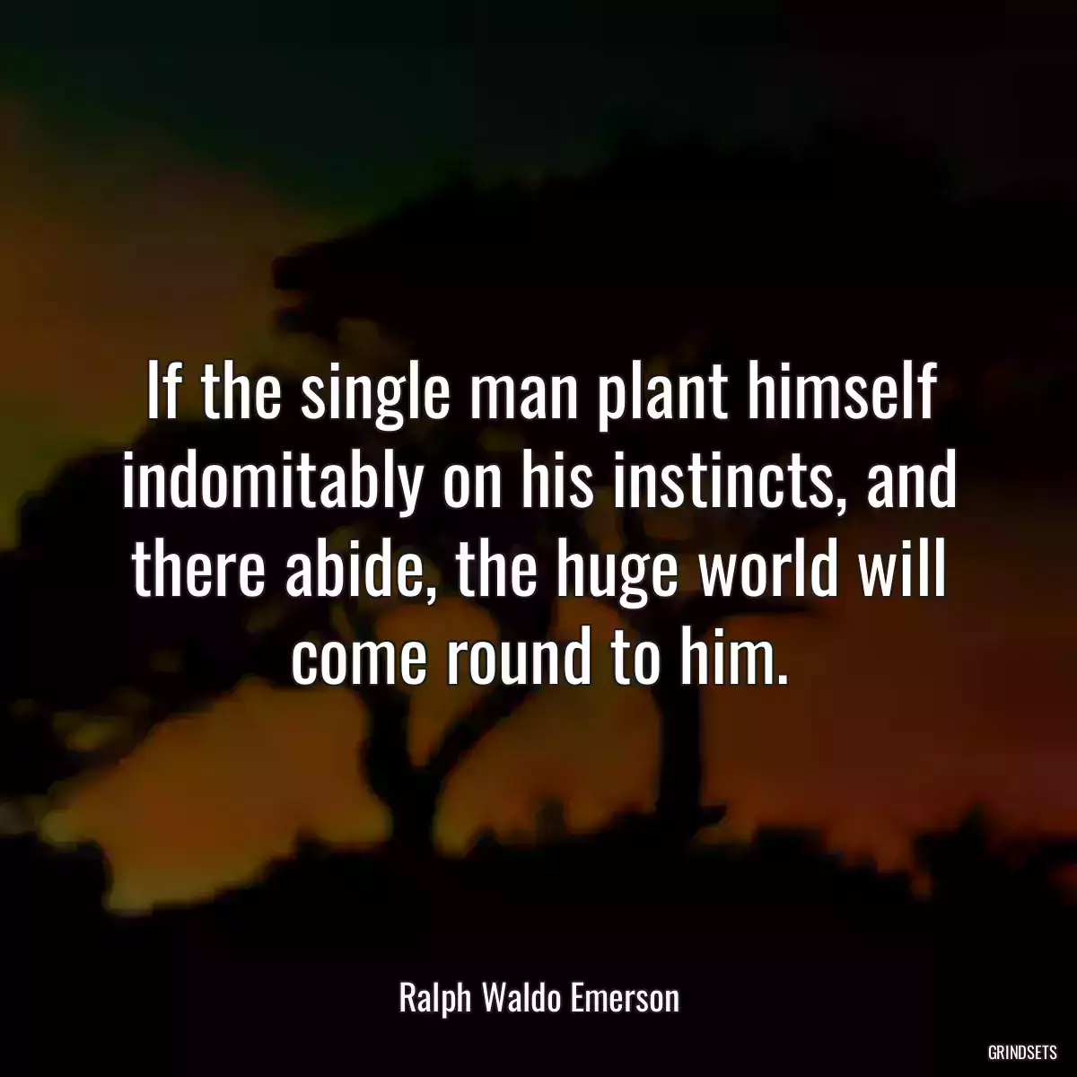 If the single man plant himself indomitably on his instincts, and there abide, the huge world will come round to him.