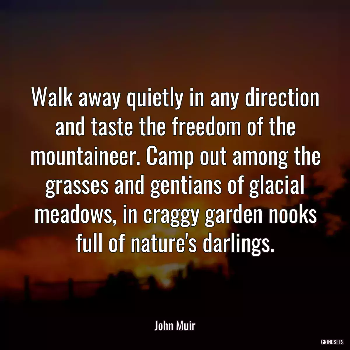 Walk away quietly in any direction and taste the freedom of the mountaineer. Camp out among the grasses and gentians of glacial meadows, in craggy garden nooks full of nature\'s darlings.