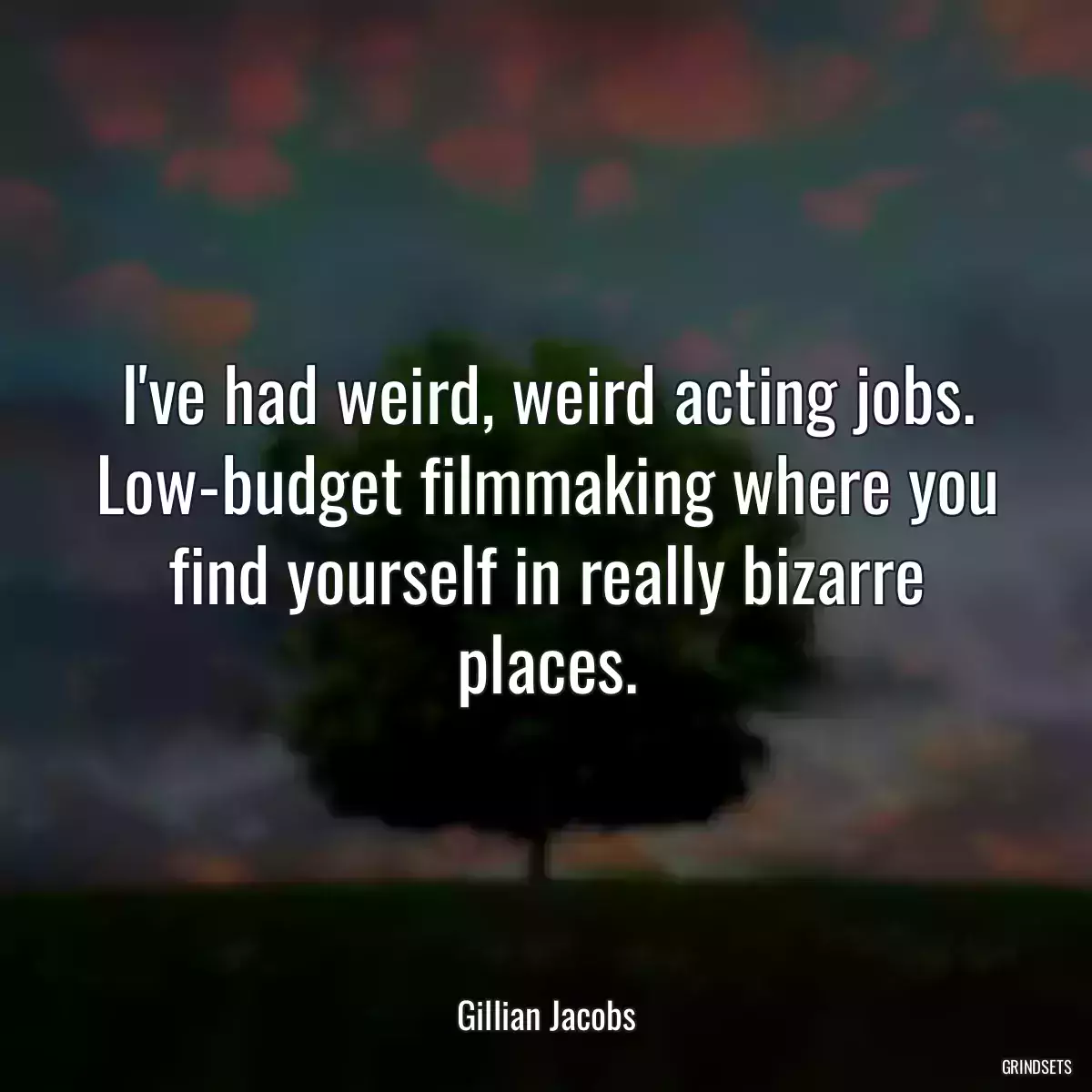 I\'ve had weird, weird acting jobs. Low-budget filmmaking where you find yourself in really bizarre places.