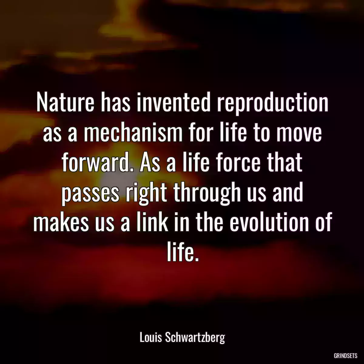 Nature has invented reproduction as a mechanism for life to move forward. As a life force that passes right through us and makes us a link in the evolution of life.