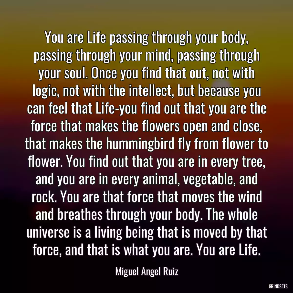 You are Life passing through your body, passing through your mind, passing through your soul. Once you find that out, not with logic, not with the intellect, but because you can feel that Life-you find out that you are the force that makes the flowers open and close, that makes the hummingbird fly from flower to flower. You find out that you are in every tree, and you are in every animal, vegetable, and rock. You are that force that moves the wind and breathes through your body. The whole universe is a living being that is moved by that force, and that is what you are. You are Life.