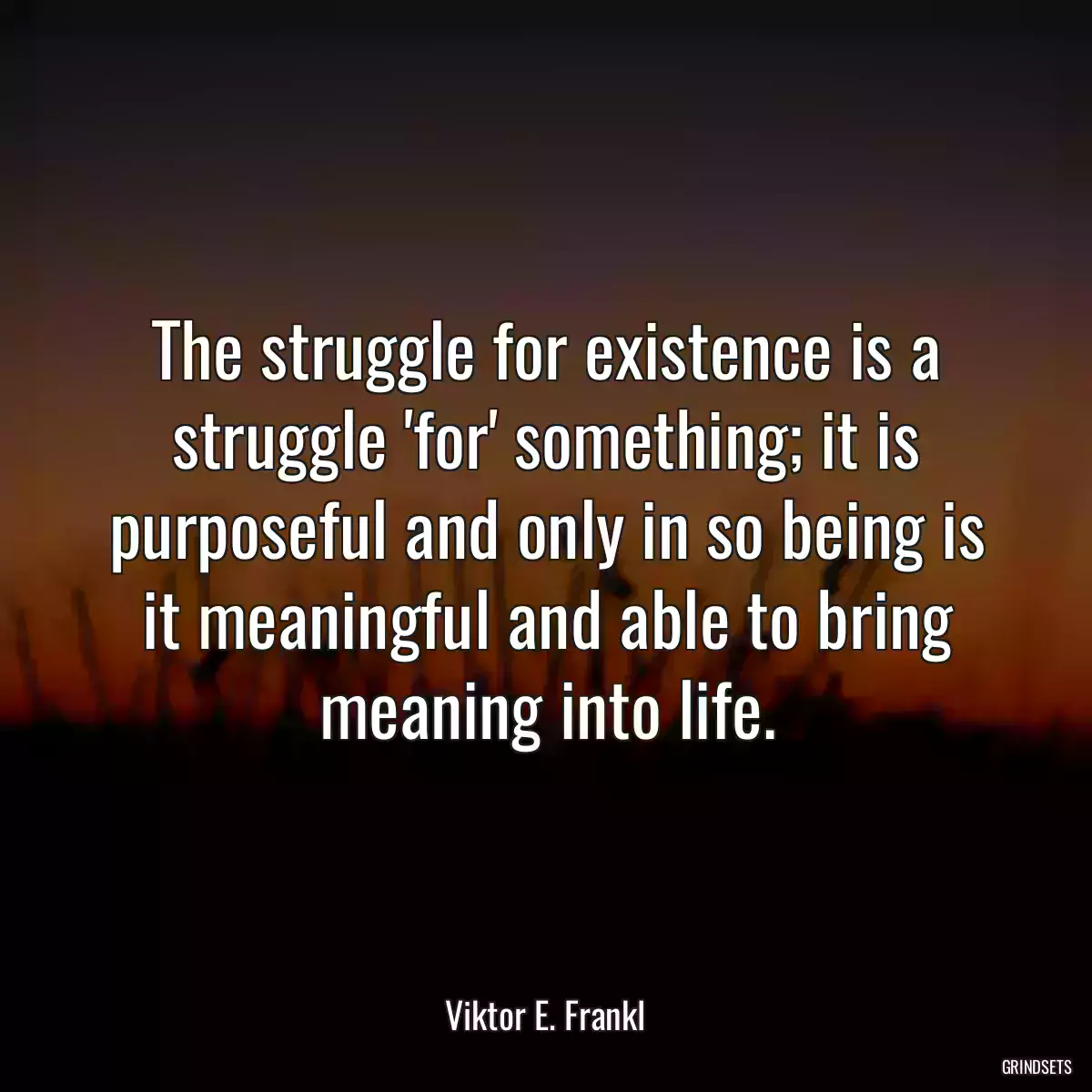 The struggle for existence is a struggle \'for\' something; it is purposeful and only in so being is it meaningful and able to bring meaning into life.