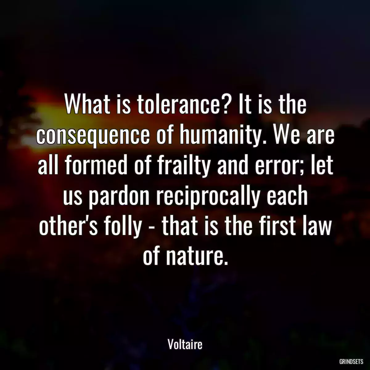 What is tolerance? It is the consequence of humanity. We are all formed of frailty and error; let us pardon reciprocally each other\'s folly - that is the first law of nature.