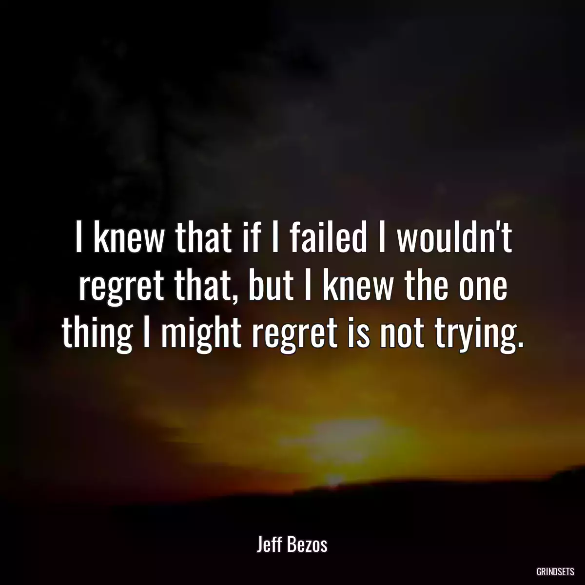 I knew that if I failed I wouldn\'t regret that, but I knew the one thing I might regret is not trying.