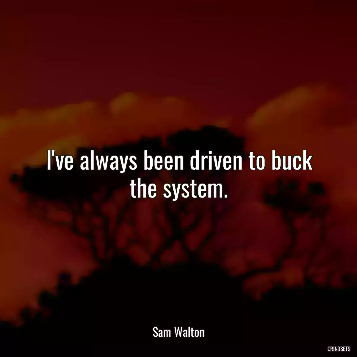I\'ve always been driven to buck the system.