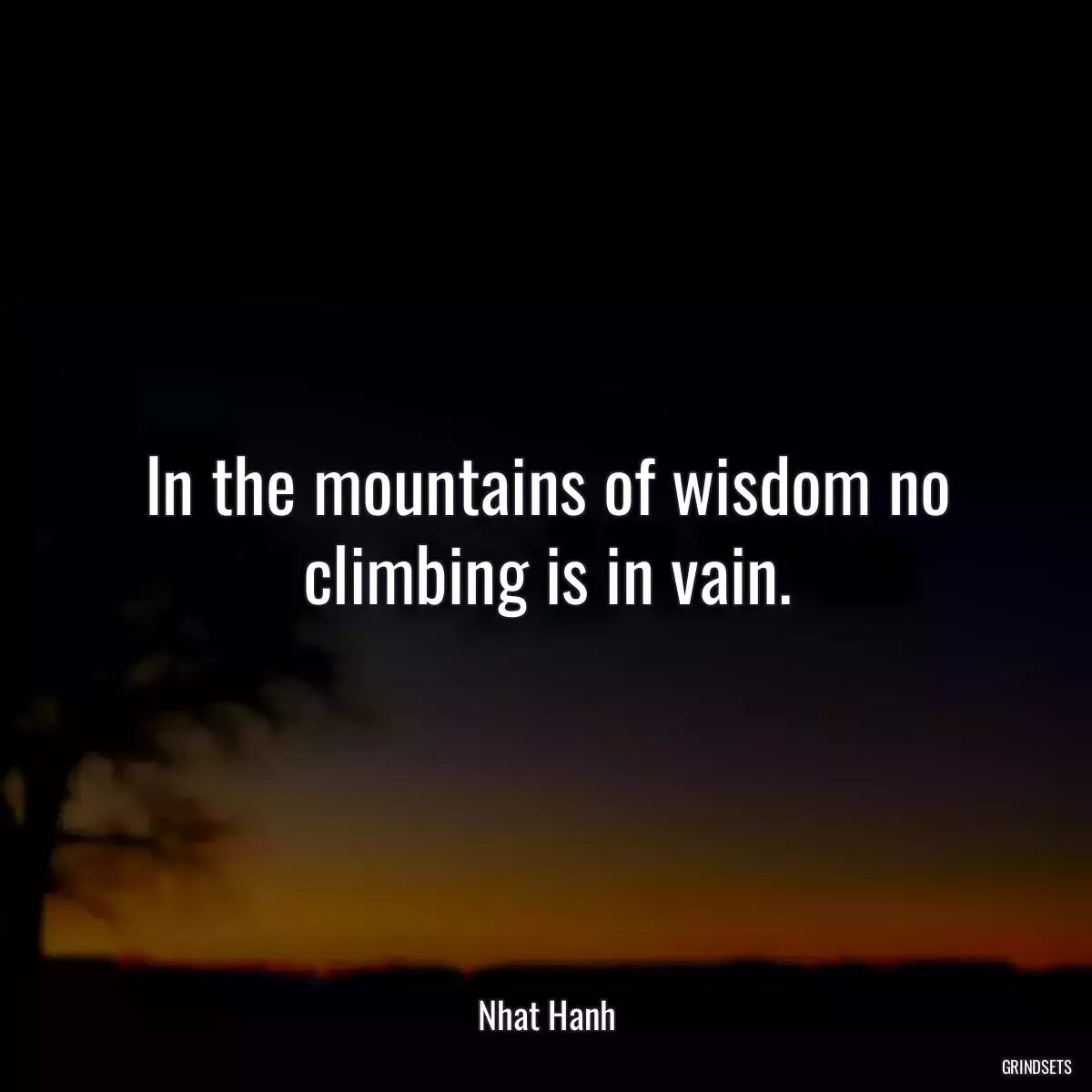 In the mountains of wisdom no climbing is in vain.