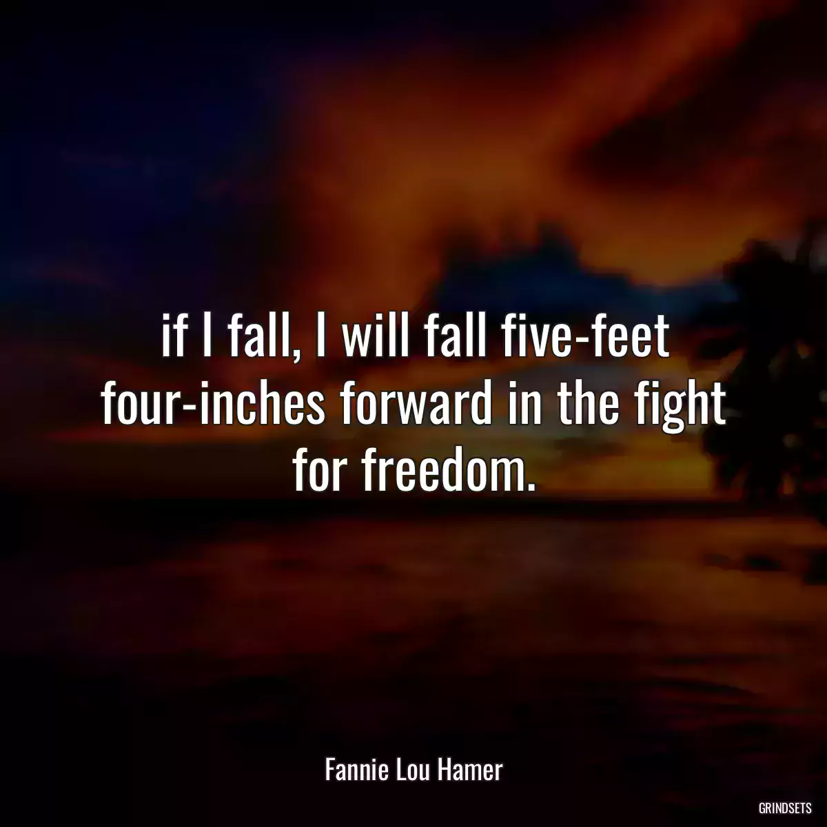 if I fall, I will fall five-feet four-inches forward in the fight for freedom.