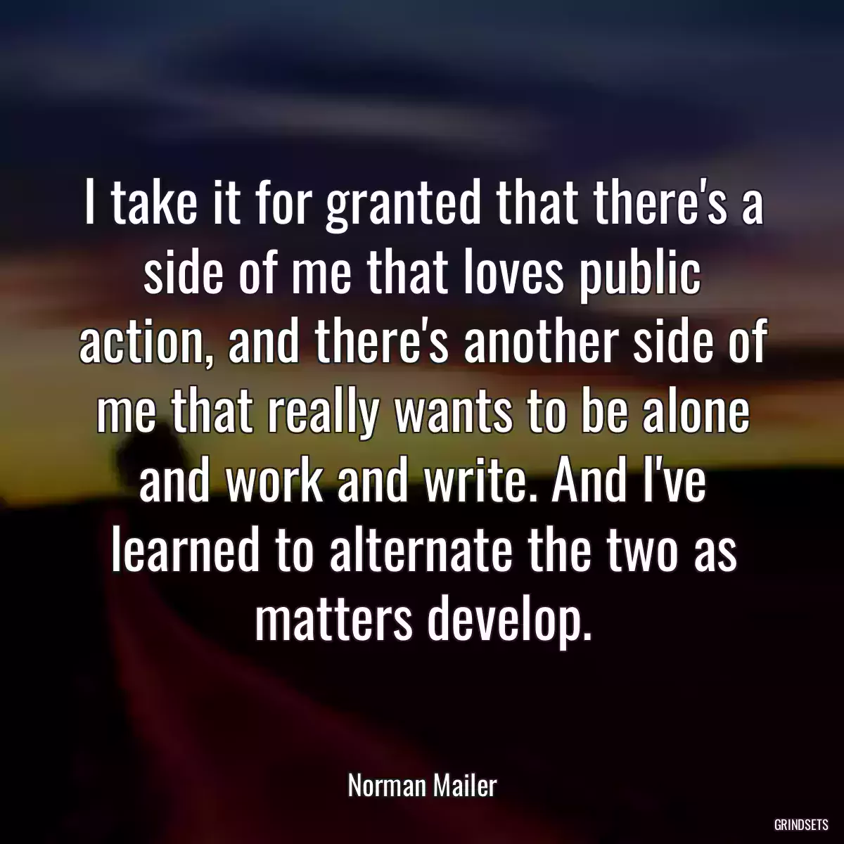 I take it for granted that there\'s a side of me that loves public action, and there\'s another side of me that really wants to be alone and work and write. And I\'ve learned to alternate the two as matters develop.