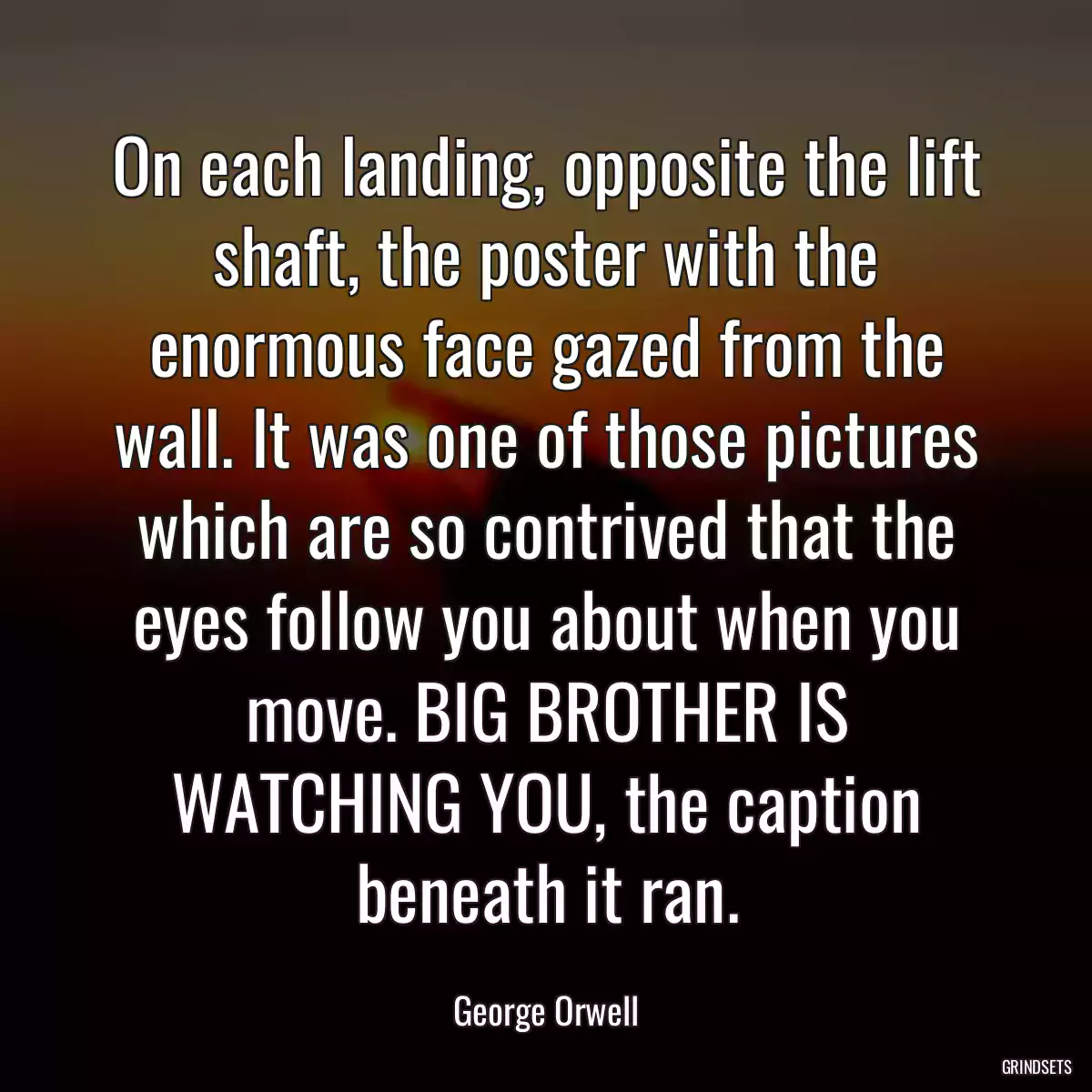 On each landing, opposite the lift shaft, the poster with the enormous face gazed from the wall. It was one of those pictures which are so contrived that the eyes follow you about when you move. BIG BROTHER IS WATCHING YOU, the caption beneath it ran.