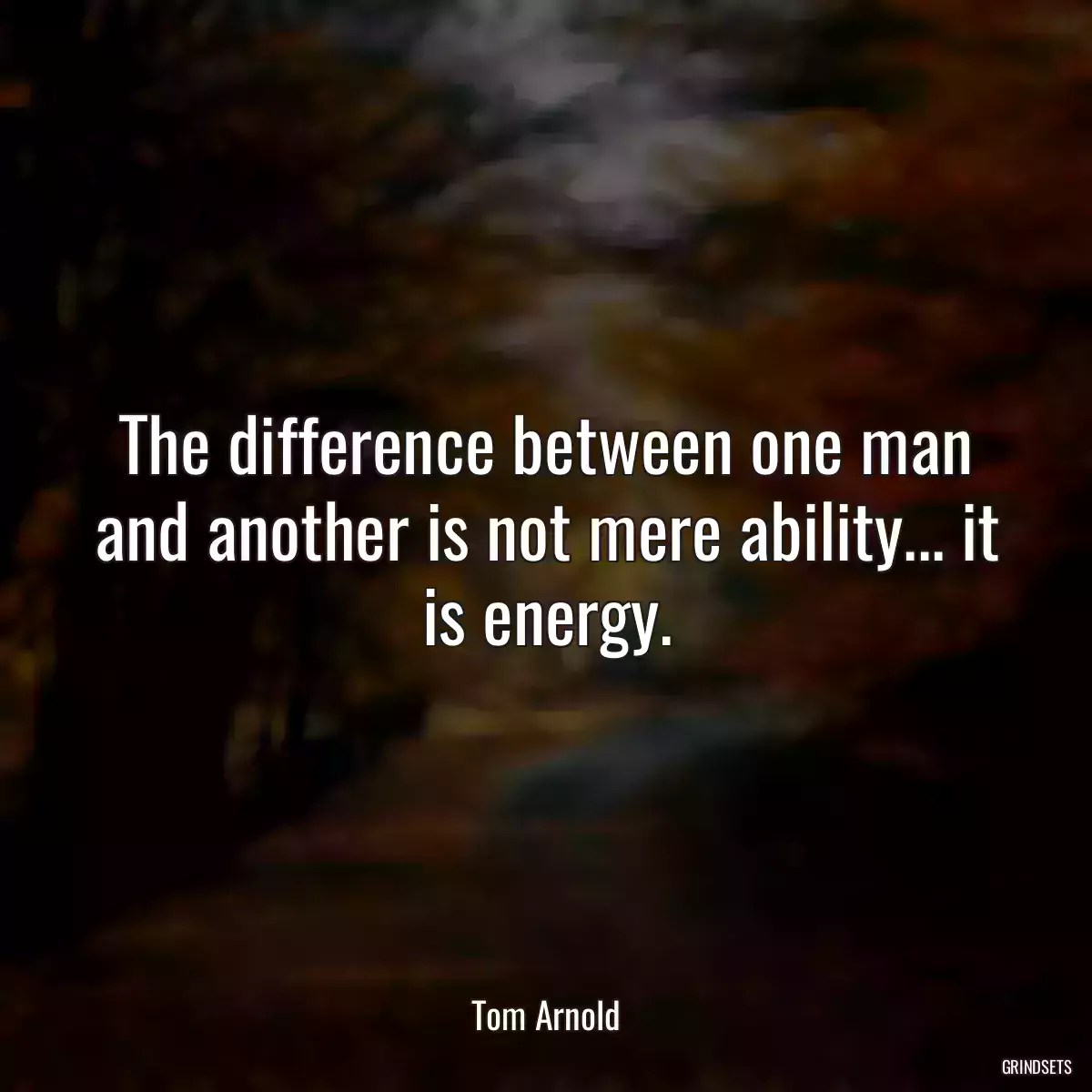 The difference between one man and another is not mere ability... it is energy.