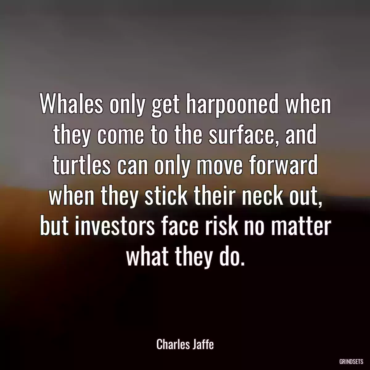 Whales only get harpooned when they come to the surface, and turtles can only move forward when they stick their neck out, but investors face risk no matter what they do.