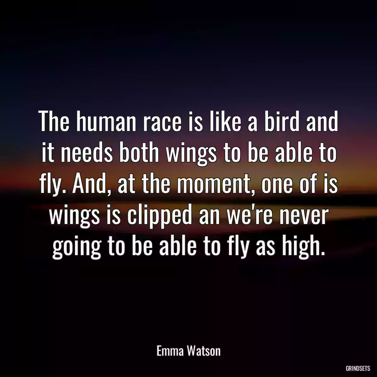 The human race is like a bird and it needs both wings to be able to fly. And, at the moment, one of is wings is clipped an we\'re never going to be able to fly as high.