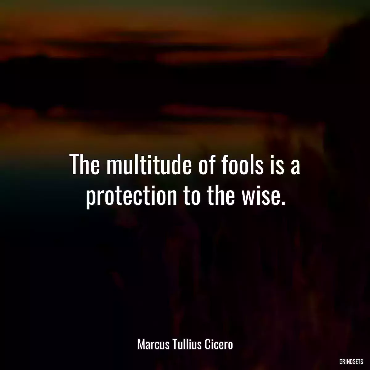 The multitude of fools is a protection to the wise.