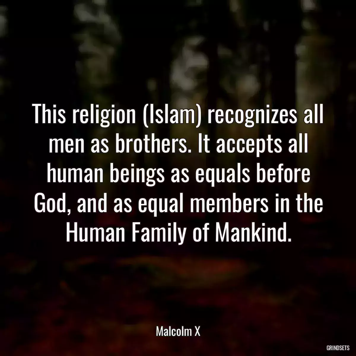 This religion (Islam) recognizes all men as brothers. It accepts all human beings as equals before God, and as equal members in the Human Family of Mankind.