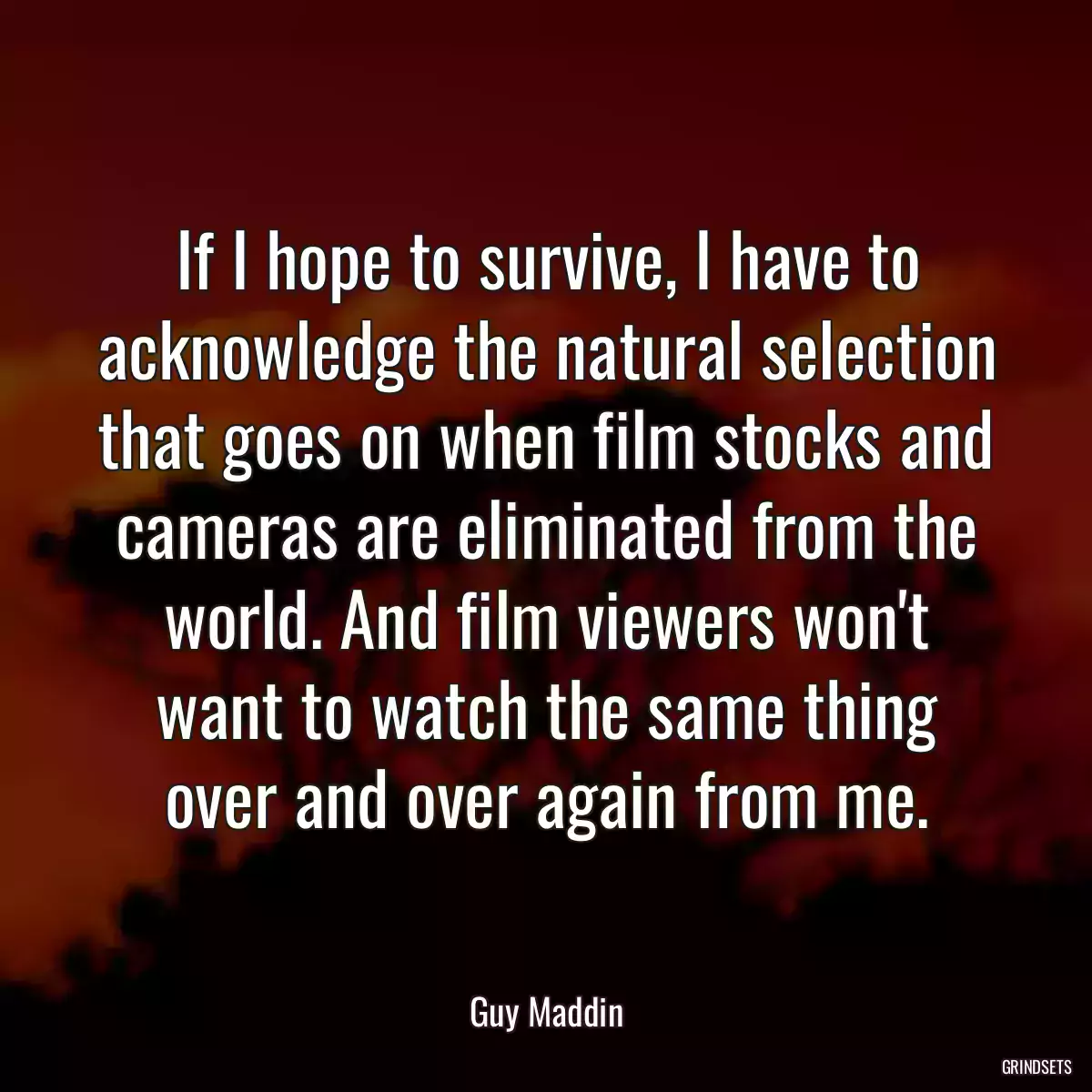 If I hope to survive, I have to acknowledge the natural selection that goes on when film stocks and cameras are eliminated from the world. And film viewers won\'t want to watch the same thing over and over again from me.