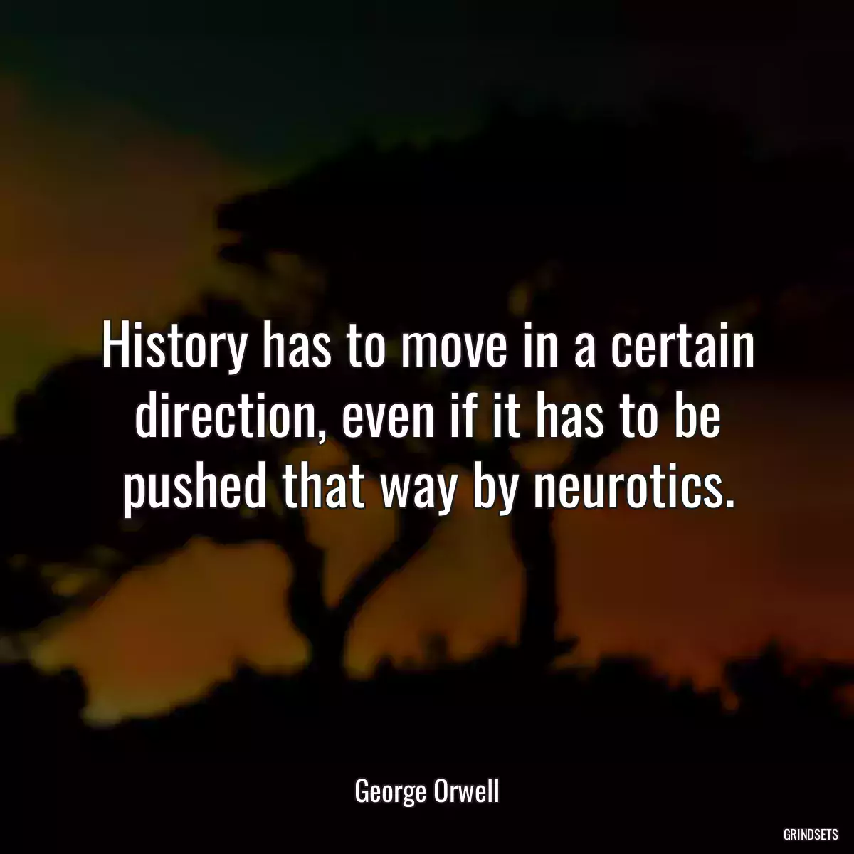 History has to move in a certain direction, even if it has to be pushed that way by neurotics.