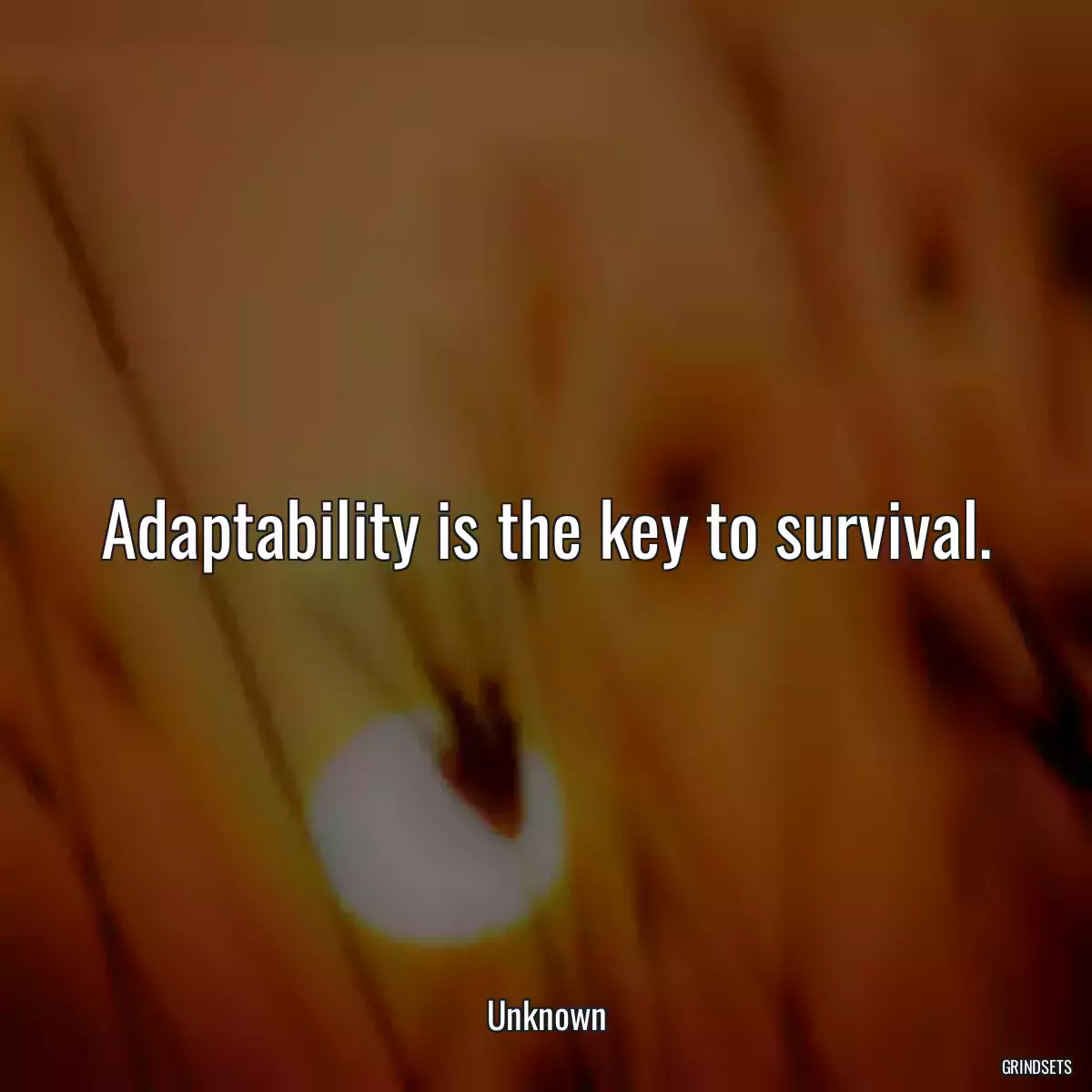 Adaptability is the key to survival.