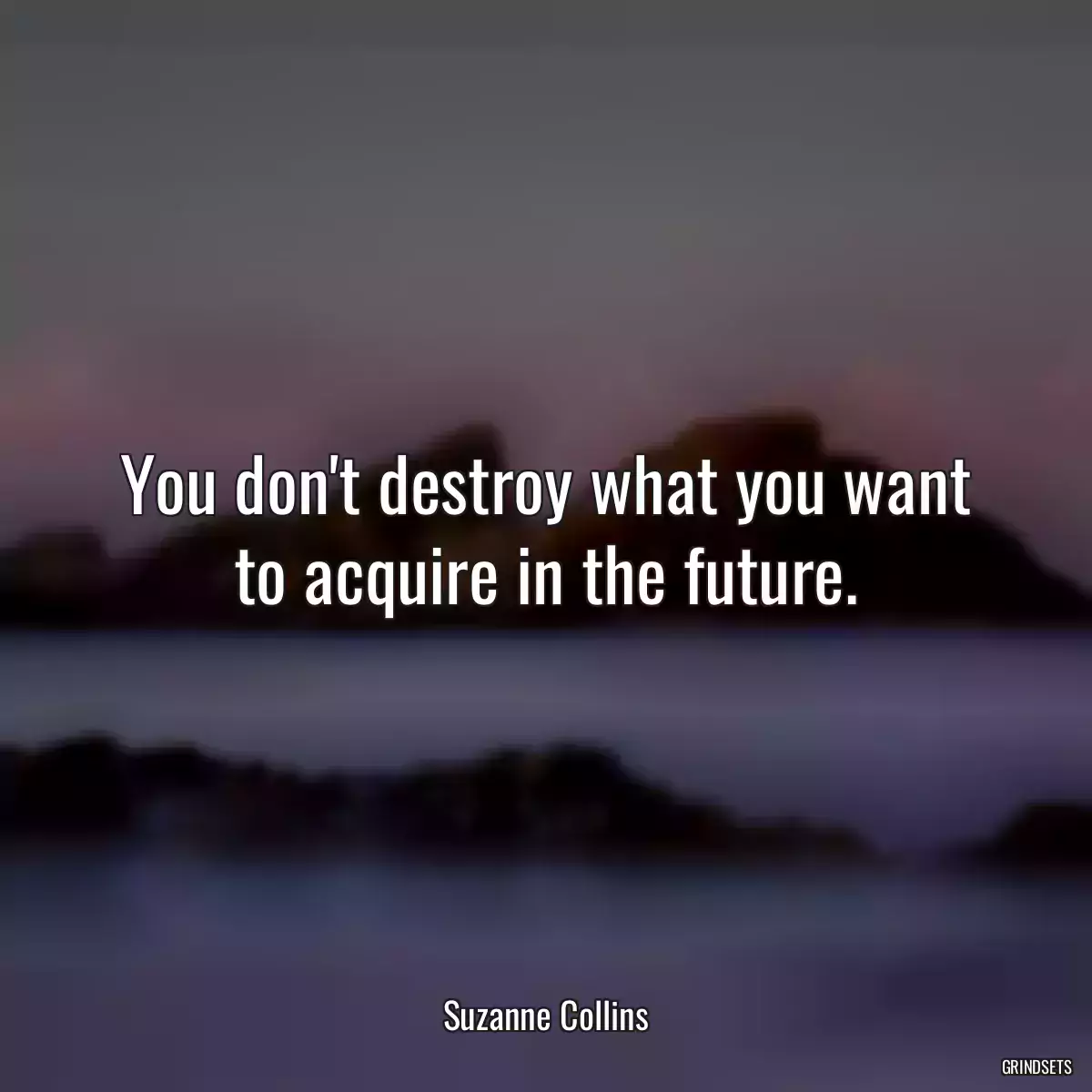 You don\'t destroy what you want to acquire in the future.