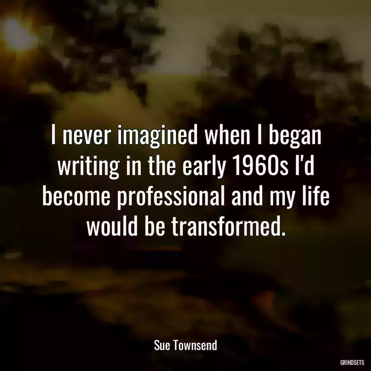 I never imagined when I began writing in the early 1960s I\'d become professional and my life would be transformed.