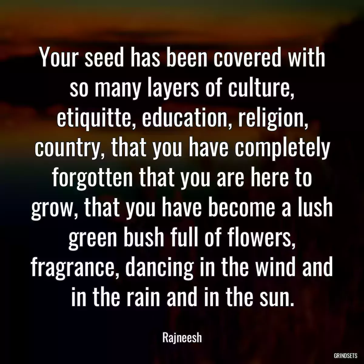 Your seed has been covered with so many layers of culture, etiquitte, education, religion, country, that you have completely forgotten that you are here to grow, that you have become a lush green bush full of flowers, fragrance, dancing in the wind and in the rain and in the sun.