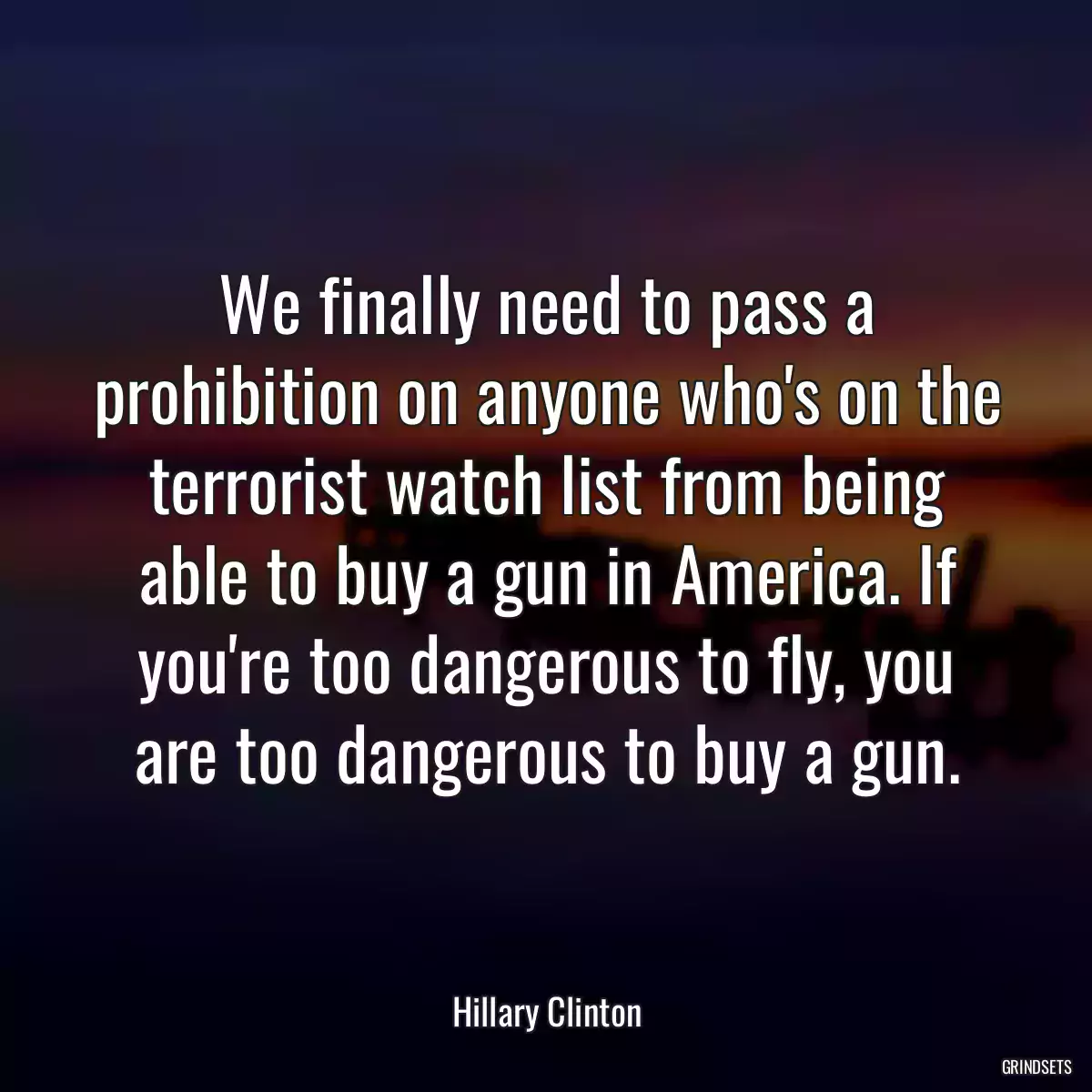 We finally need to pass a prohibition on anyone who\'s on the terrorist watch list from being able to buy a gun in America. If you\'re too dangerous to fly, you are too dangerous to buy a gun.