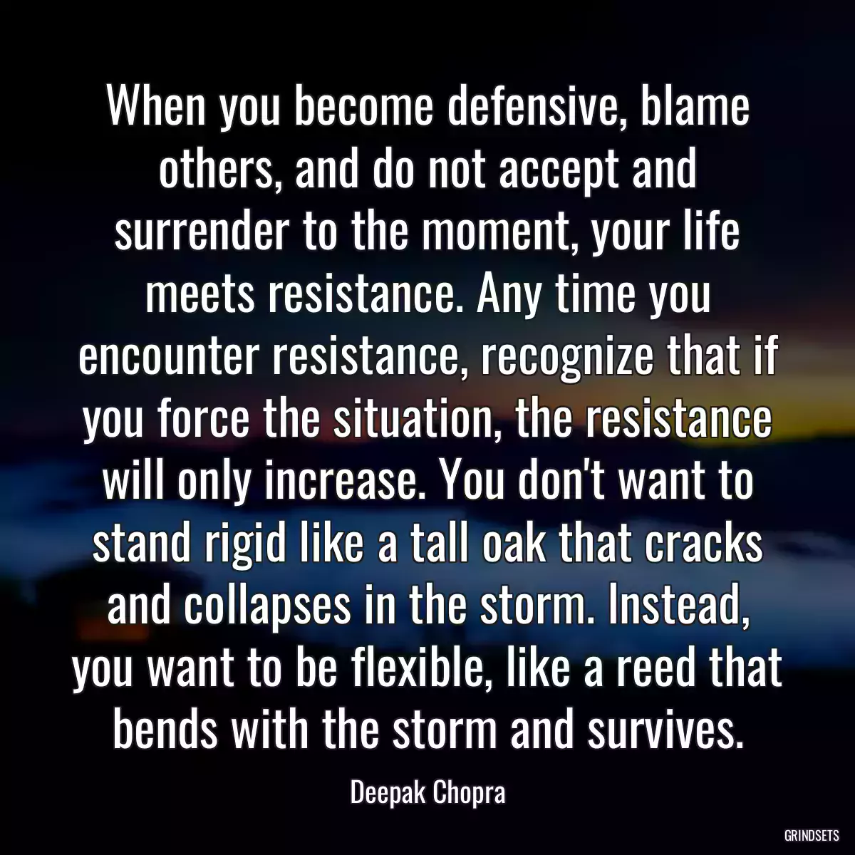 When you become defensive, blame others, and do not accept and surrender to the moment, your life meets resistance. Any time you encounter resistance, recognize that if you force the situation, the resistance will only increase. You don\'t want to stand rigid like a tall oak that cracks and collapses in the storm. Instead, you want to be flexible, like a reed that bends with the storm and survives.