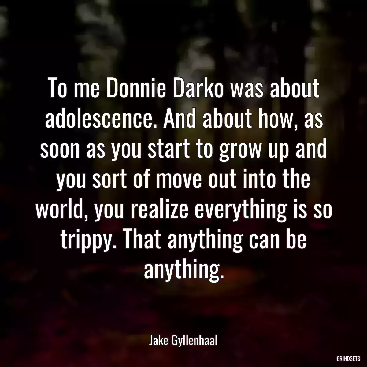 To me Donnie Darko was about adolescence. And about how, as soon as you start to grow up and you sort of move out into the world, you realize everything is so trippy. That anything can be anything.