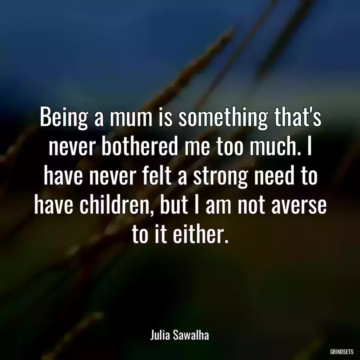 Being a mum is something that\'s never bothered me too much. I have never felt a strong need to have children, but I am not averse to it either.