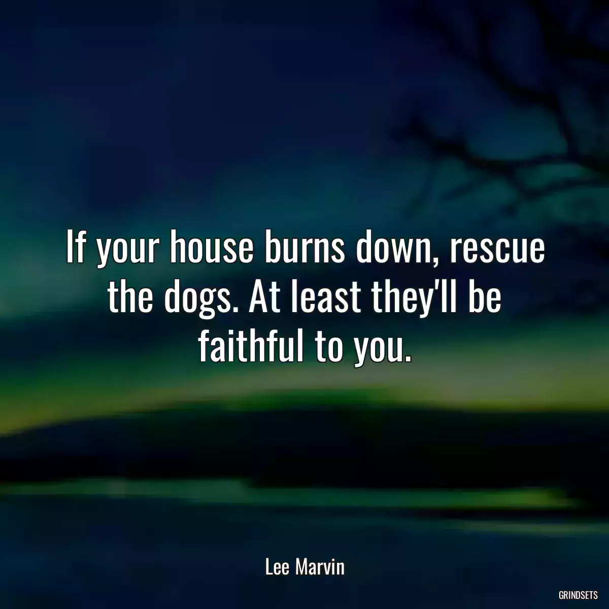 If your house burns down, rescue the dogs. At least they\'ll be faithful to you.