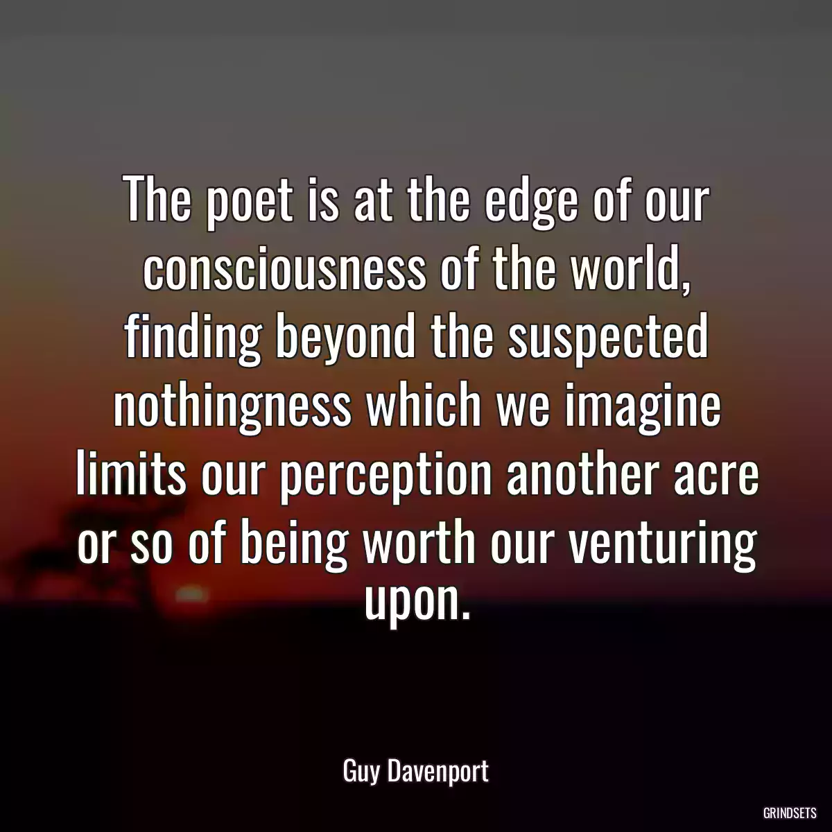 The poet is at the edge of our consciousness of the world, finding beyond the suspected nothingness which we imagine limits our perception another acre or so of being worth our venturing upon.