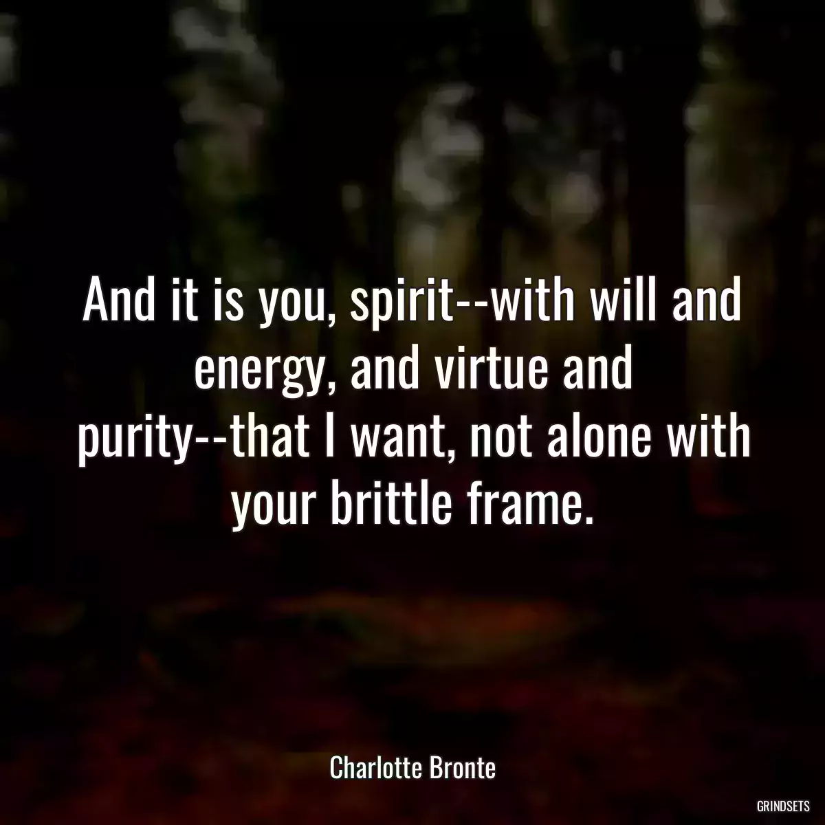 And it is you, spirit--with will and energy, and virtue and purity--that I want, not alone with your brittle frame.