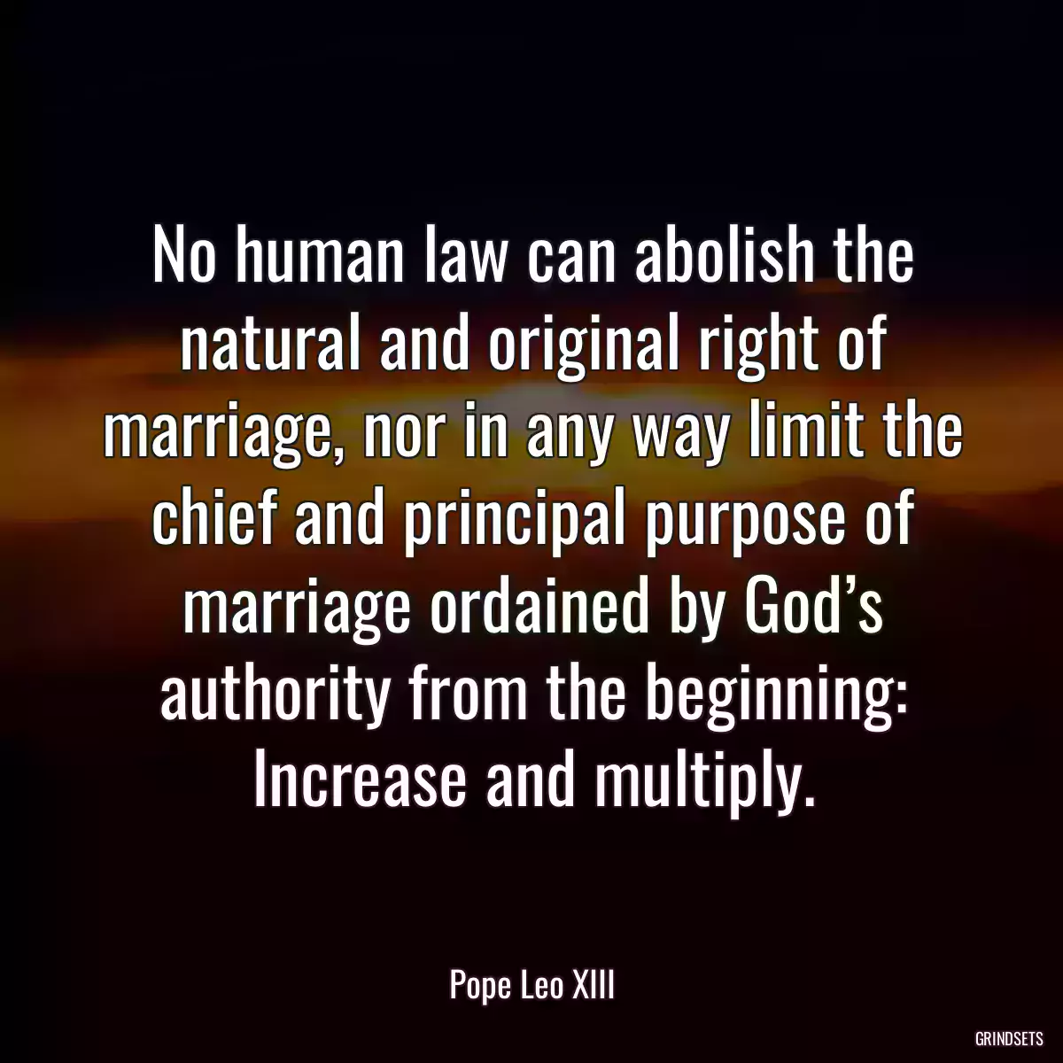 No human law can abolish the natural and original right of marriage, nor in any way limit the chief and principal purpose of marriage ordained by God’s authority from the beginning: Increase and multiply.