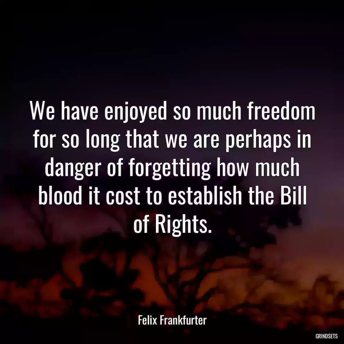 We have enjoyed so much freedom for so long that we are perhaps in danger of forgetting how much blood it cost to establish the Bill of Rights.