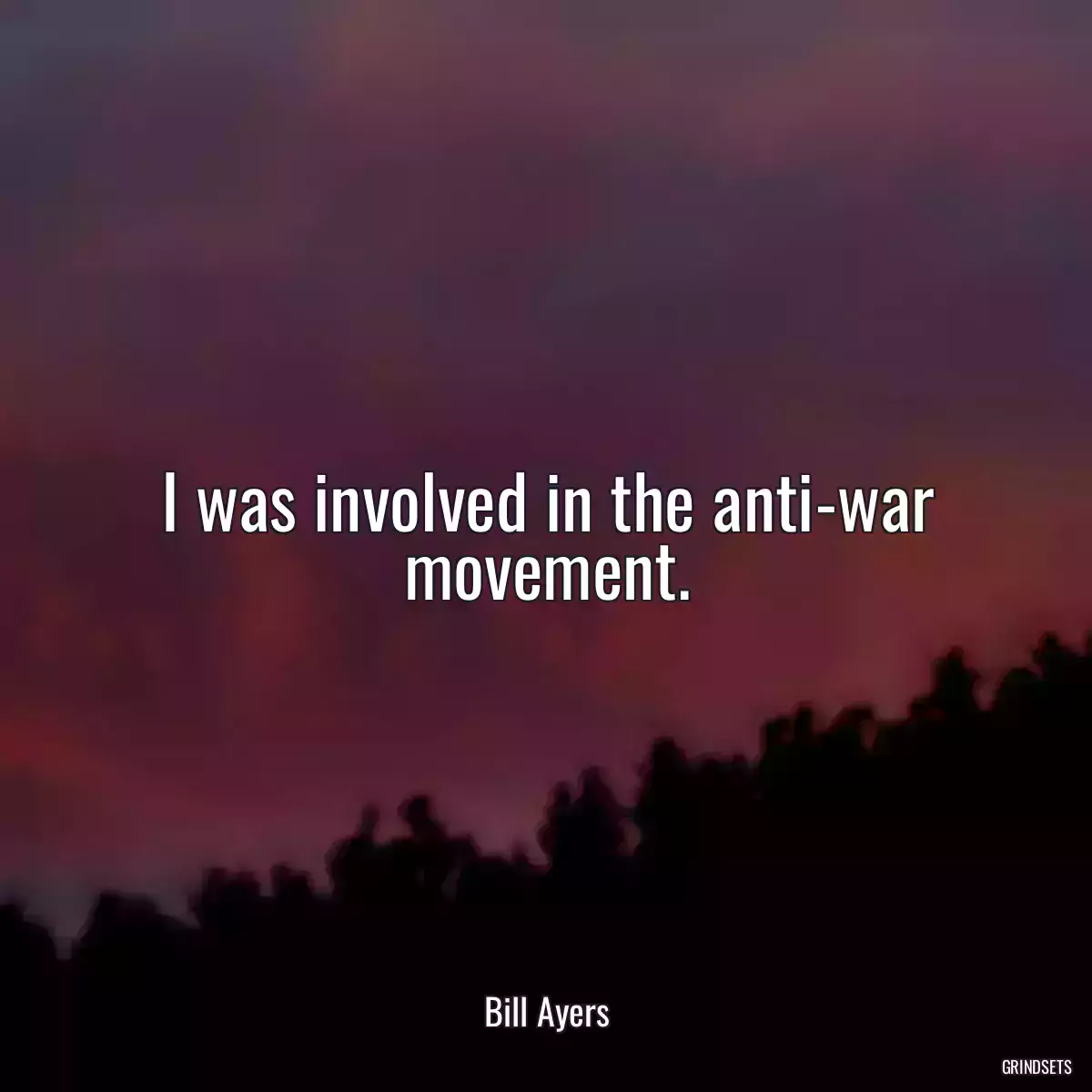 I was involved in the anti-war movement.