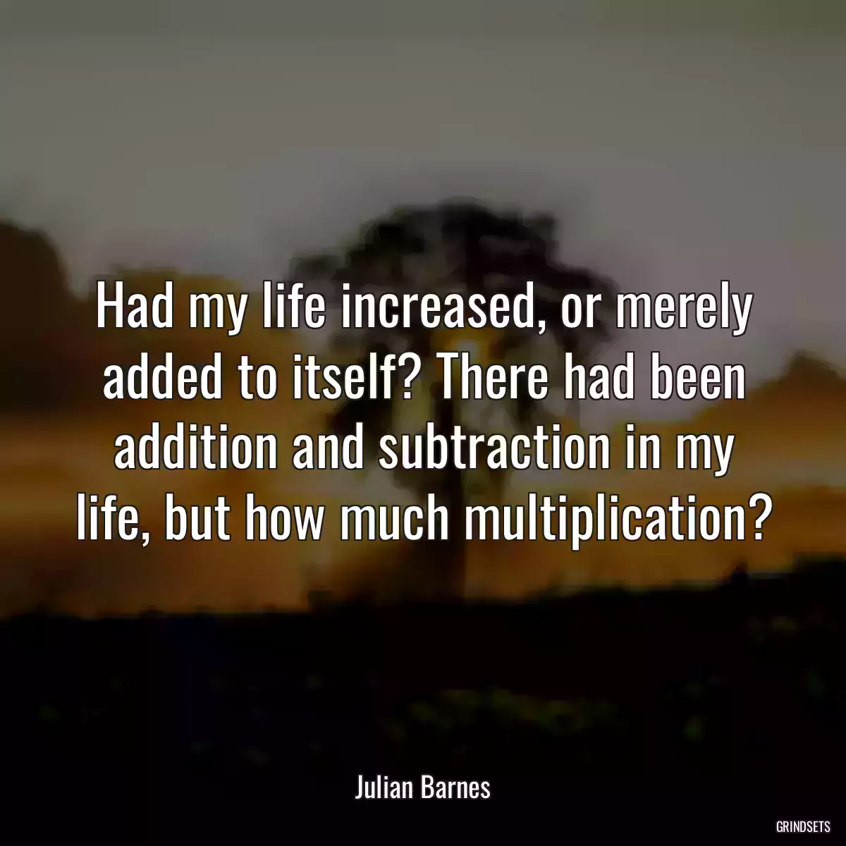 Had my life increased, or merely added to itself? There had been addition and subtraction in my life, but how much multiplication?