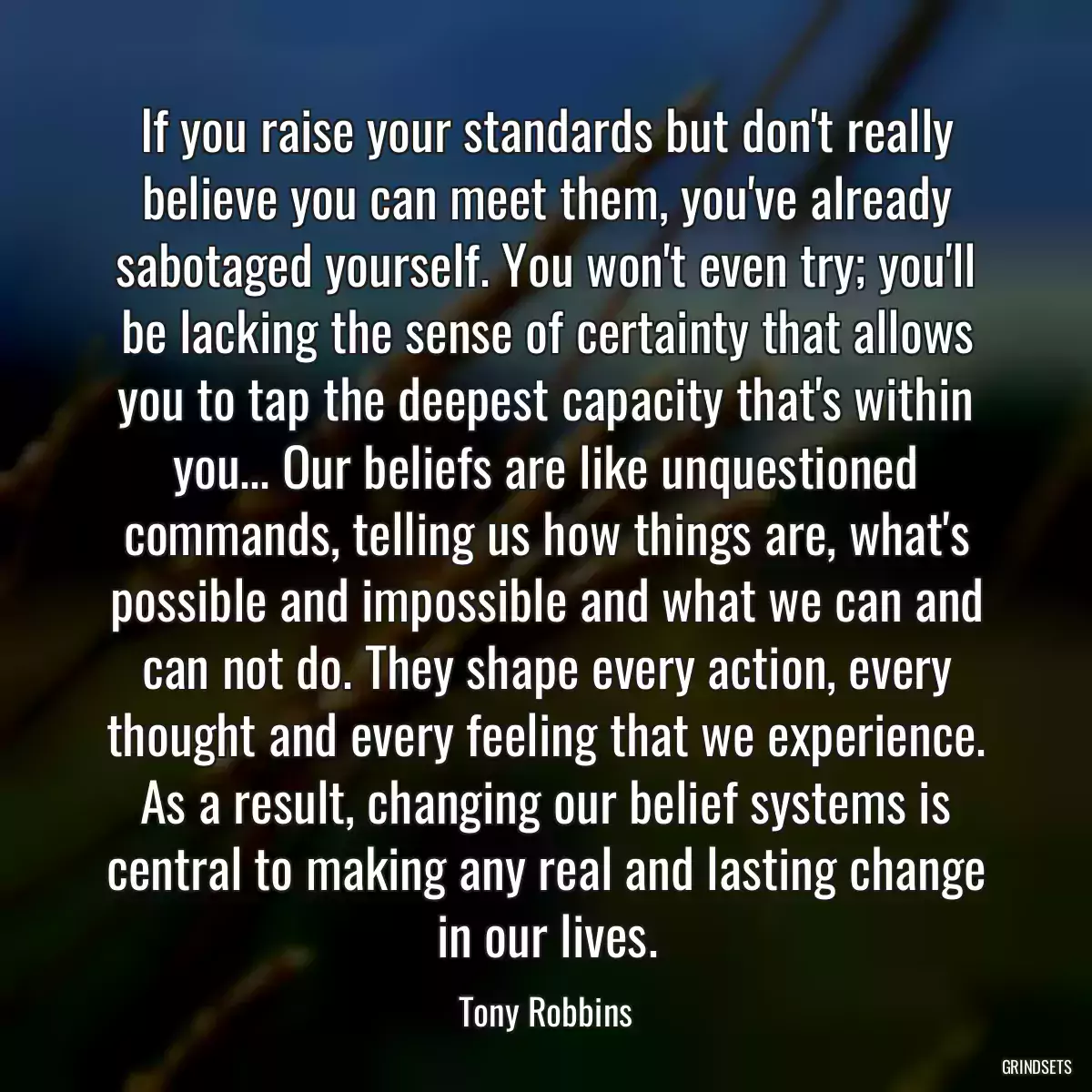 If you raise your standards but don\'t really believe you can meet them, you\'ve already sabotaged yourself. You won\'t even try; you\'ll be lacking the sense of certainty that allows you to tap the deepest capacity that\'s within you... Our beliefs are like unquestioned commands, telling us how things are, what\'s possible and impossible and what we can and can not do. They shape every action, every thought and every feeling that we experience. As a result, changing our belief systems is central to making any real and lasting change in our lives.