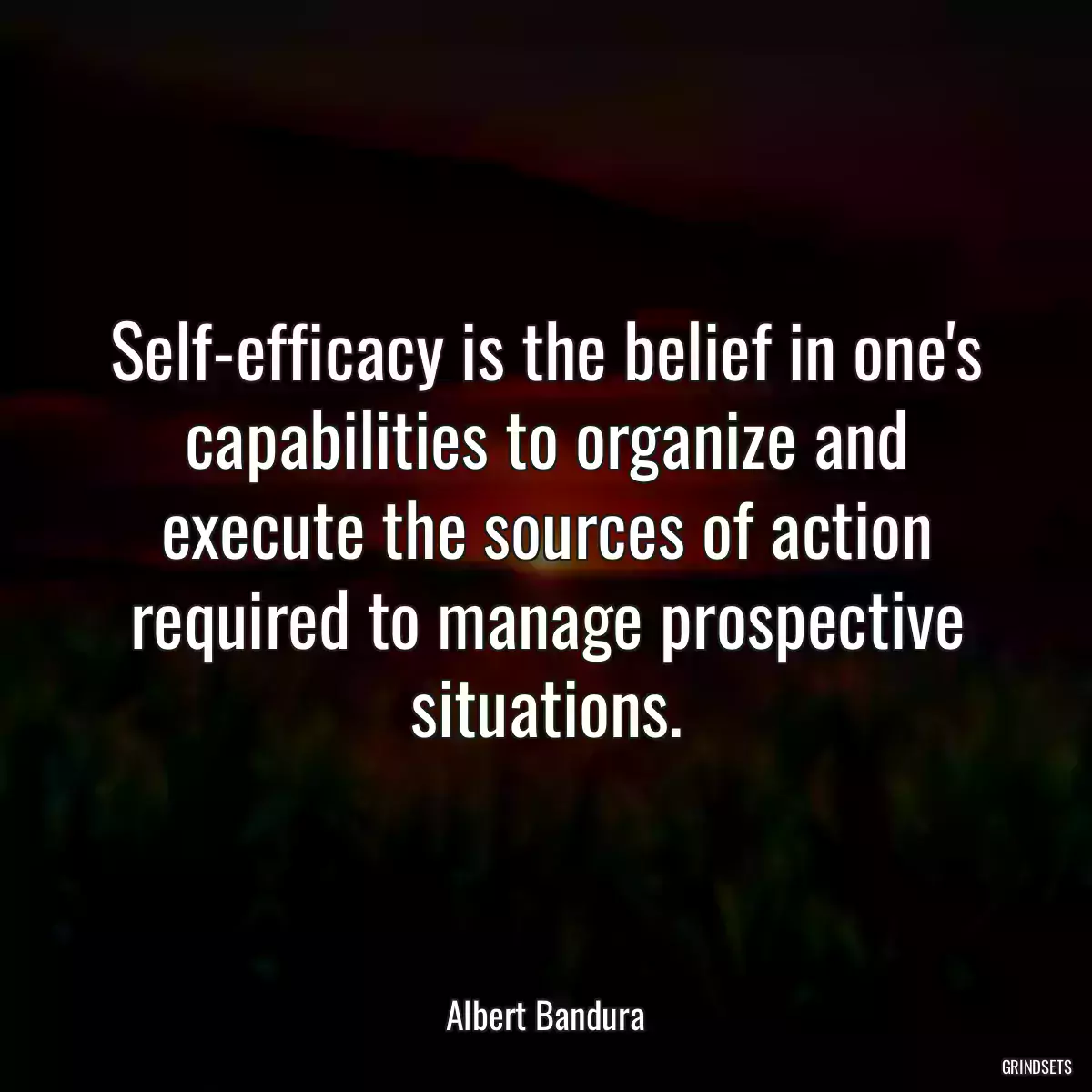 Self-efficacy is the belief in one\'s capabilities to organize and execute the sources of action required to manage prospective situations.