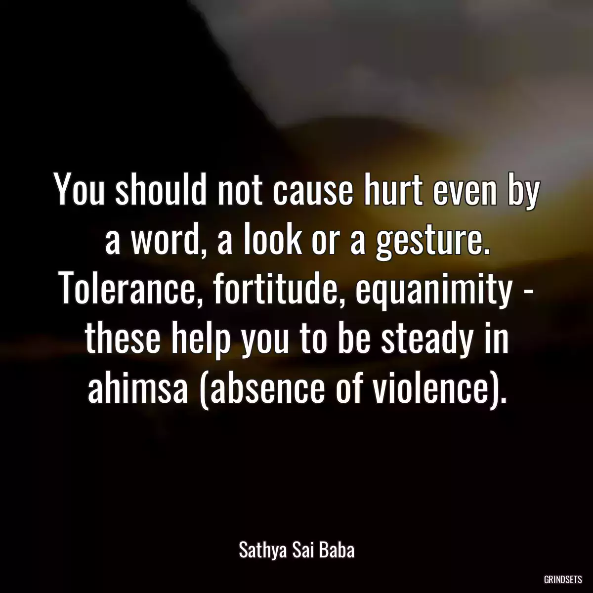 You should not cause hurt even by a word, a look or a gesture. Tolerance, fortitude, equanimity - these help you to be steady in ahimsa (absence of violence).