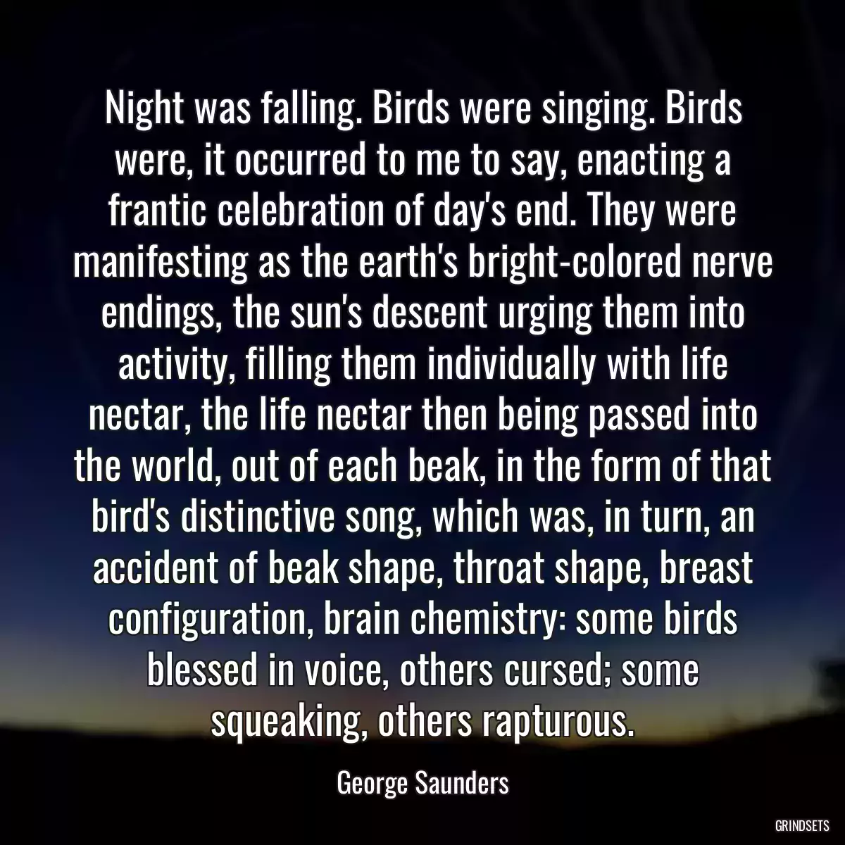 Night was falling. Birds were singing. Birds were, it occurred to me to say, enacting a frantic celebration of day\'s end. They were manifesting as the earth\'s bright-colored nerve endings, the sun\'s descent urging them into activity, filling them individually with life nectar, the life nectar then being passed into the world, out of each beak, in the form of that bird\'s distinctive song, which was, in turn, an accident of beak shape, throat shape, breast configuration, brain chemistry: some birds blessed in voice, others cursed; some squeaking, others rapturous.