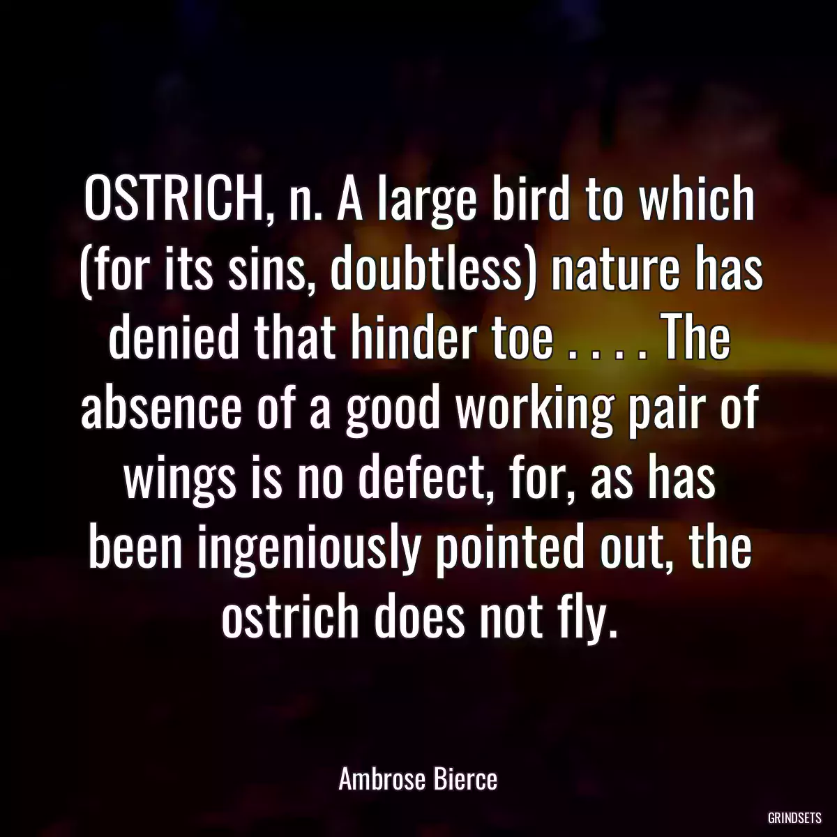 OSTRICH, n. A large bird to which (for its sins, doubtless) nature has denied that hinder toe . . . . The absence of a good working pair of wings is no defect, for, as has been ingeniously pointed out, the ostrich does not fly.