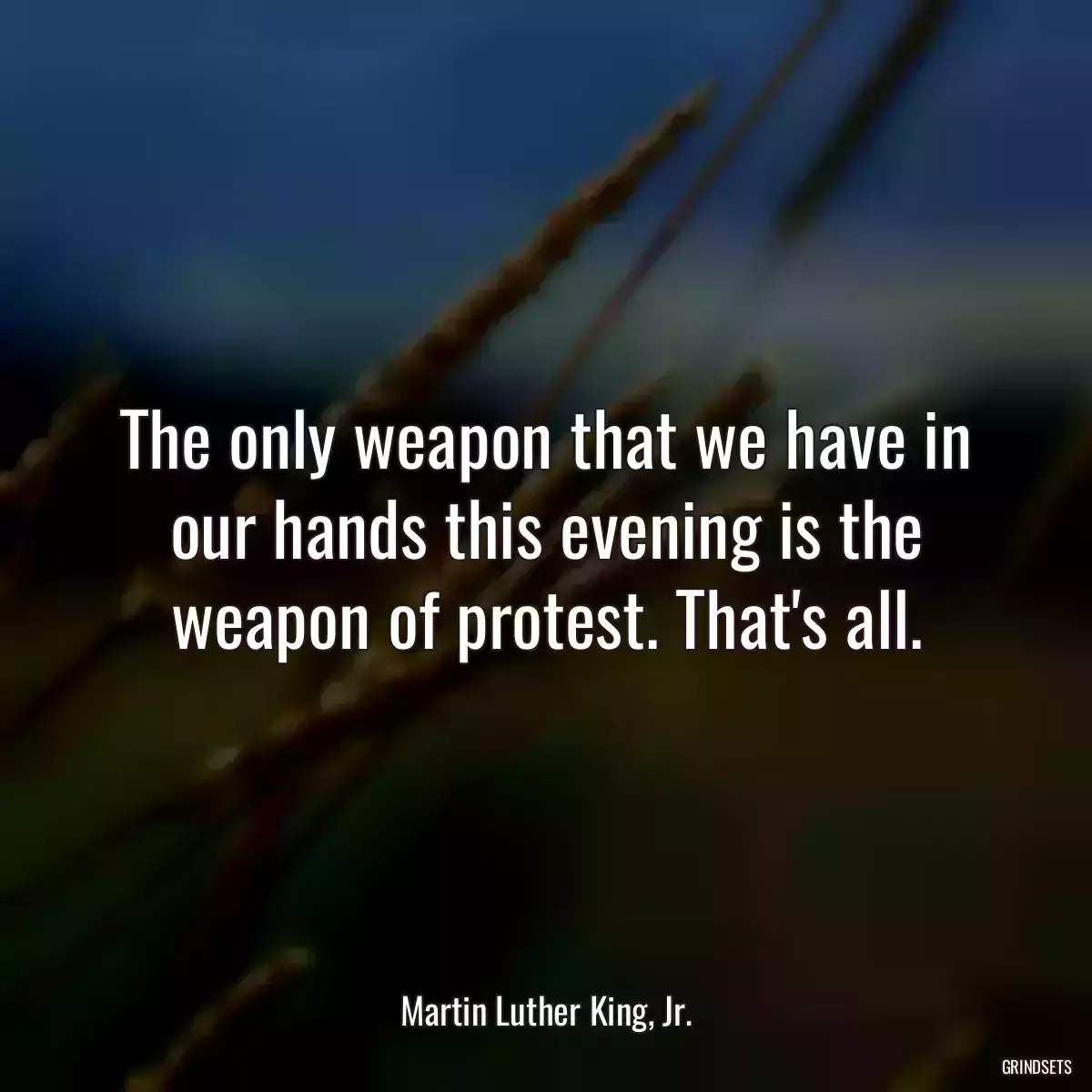 The only weapon that we have in our hands this evening is the weapon of protest. That\'s all.