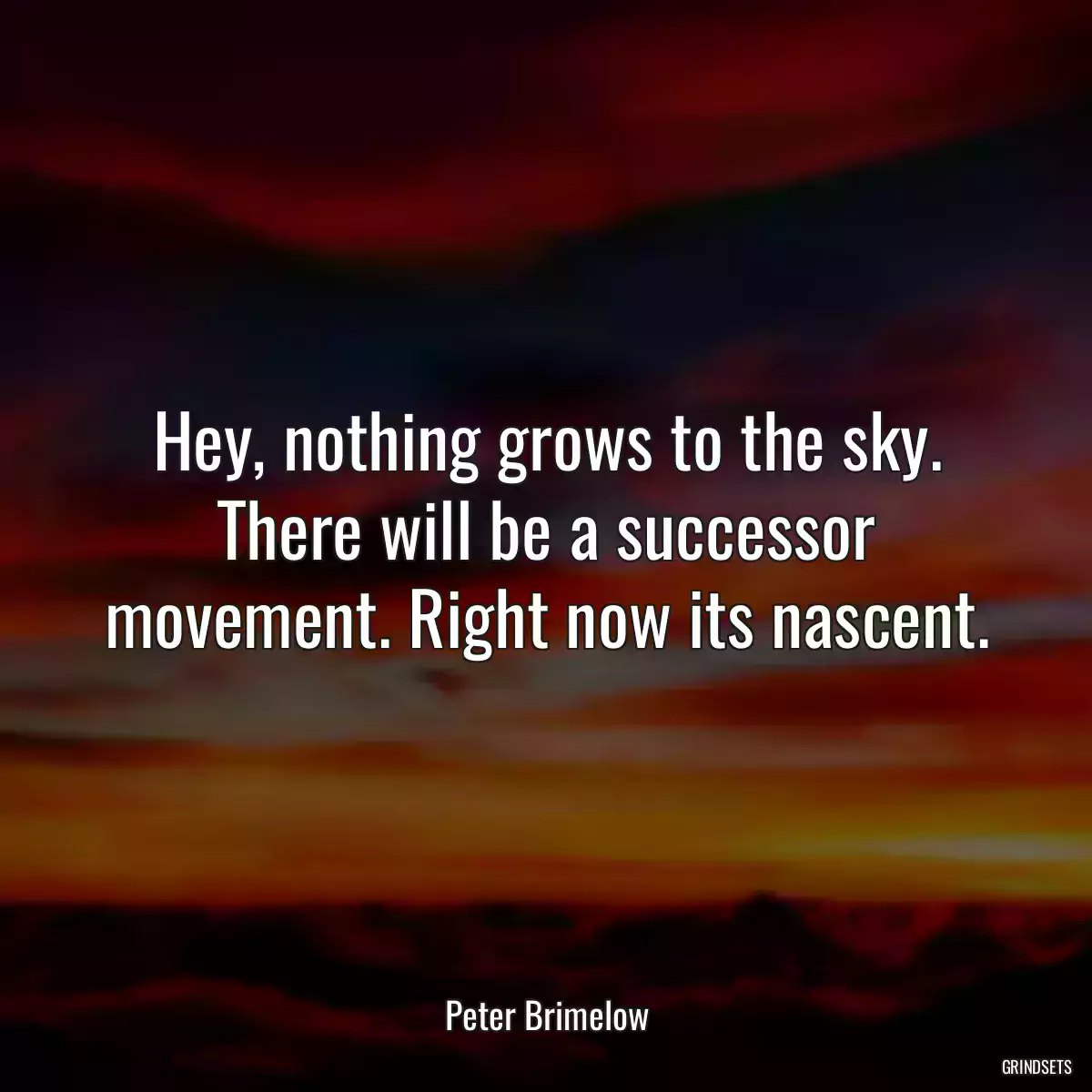 Hey, nothing grows to the sky. There will be a successor movement. Right now its nascent.