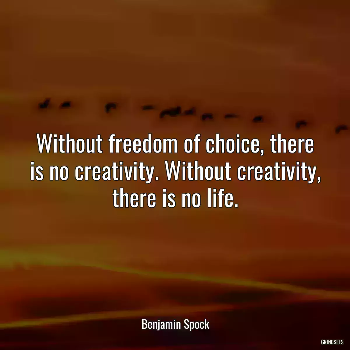 Without freedom of choice, there is no creativity. Without creativity, there is no life.