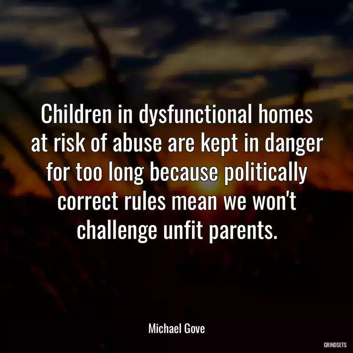 Children in dysfunctional homes at risk of abuse are kept in danger for too long because politically correct rules mean we won\'t challenge unfit parents.